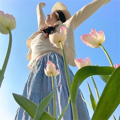 暗宅之谜 封面